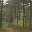 내4리 마을회관 이미지