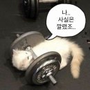 강남역 8번출구 앞 이미지