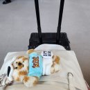 모찌냥 | 박성호가 나에게 온다는 너무 수동적인듯 내가 박성호에게로 간다. (뒤늦은 박성호 생일카페 후기)