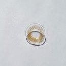 아이디안경콘택트(우정점) | [울산 중구]아이디안경콘택트 울산우정점!!