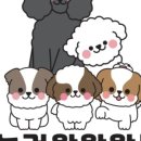 놀러왕왕왕 이미지