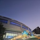 장충체육관 배구 직관 후기 : V리그 우리카드 vs 한국전력
