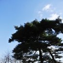 마리의봄날 이미지
