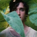 행복한 늑대 | 알리체 로르와커 > 행복한 라짜로 후기