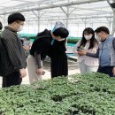 정읍시 농업기술센터 이미지