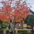 오대산 힐링타운 달빛동 | 월정사 숙소 가성비 좋은 오대산힐링타운 은빛동 204호 내돈 숙박 후기