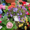 유림농장 이미지