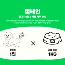 영등포 동물병원 이미지