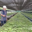 (주)이노진 이미지