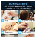 버드나무한의원 이미지