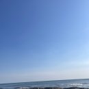 알잘딱깔센 | 속초중앙시장 : 주차 및 먹거리 포장 알잘딱깔센 후기