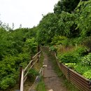 바다향기수목원(바다너울원) 이미지