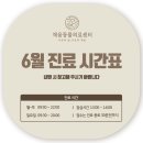 채움동물의료센터 이미지