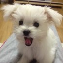 봄내병원 이미지