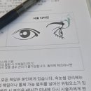 [안성 속눈썹펌] 래쉬메이에르 첫 속눈썹펌 솔직 후기 (feat. 눈두덩이 살 고민 해결 디자인)