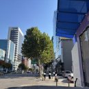 의성스마트 치과의원 | 강남 더뉴치과의원 2025 확장이전! 인비절라인 투명교정 &amp; 비베라 유지장치 상세 후기 🦷