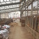 케논목장 이미지