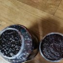 오늘은머리하는날 이미지