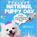 목동찬동물의료센터 이미지