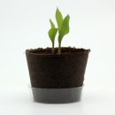 팜팜농장 이미지