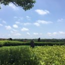 호텔라온제주 이미지