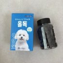 지니독 | 룽지육아일기. 맛있게 잘 먹는 강아지 눈물 영양제! 올독 눈 영양제 급여해 본 후기