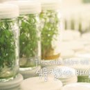 닥터바라센스 이미지