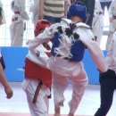 경희대학동태권도 이미지