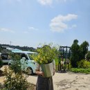 올리농장 이미지