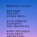 황혼의 속삭임 / 이수만시인 (사) 서울시소기업소상공인연합회 초대회장 이미지