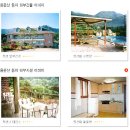 용문산 둥지 이미지