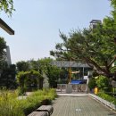 개일초등학교 이미지