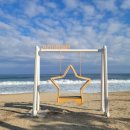 명태의 꿈(아트벤치 이미지