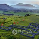 동거목장 이미지