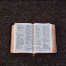 원미동사람들 이미지