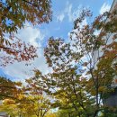 만남의광장(우) | 20251025 코믹월드 325 수원 후기 (1)