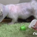 향수축산