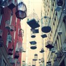 새들 노래연습장 이미지