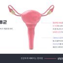 함한의원 이미지