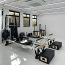 마포 망원 동물약국 | 망원 필라테스, 마포구청 필라테스 리오라플로우 필라테스 망원점 일대일 수업 대만족 후기