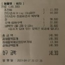 힐스타동물병원 | [비지] 방광염 진단 후기 / 엑스레이+초음파 비용