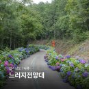 한반도휴게점 | 나주 느러지전망대 수국 개화시기 광주 근교 가볼만한곳