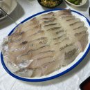 25시횟집 | 대전 선화동 횟집 추천 포항25시 내돈내산 후기