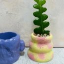 솝앤버블스 이미지