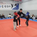 더혼 산하도장 이미지