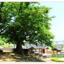 고산서당 Daum카페
