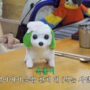 캡슐인강릉 이미지