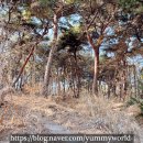 후방경로당 이미지