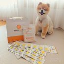 범서한방동물약국 이미지