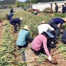 남면농협하나로마트 이미지